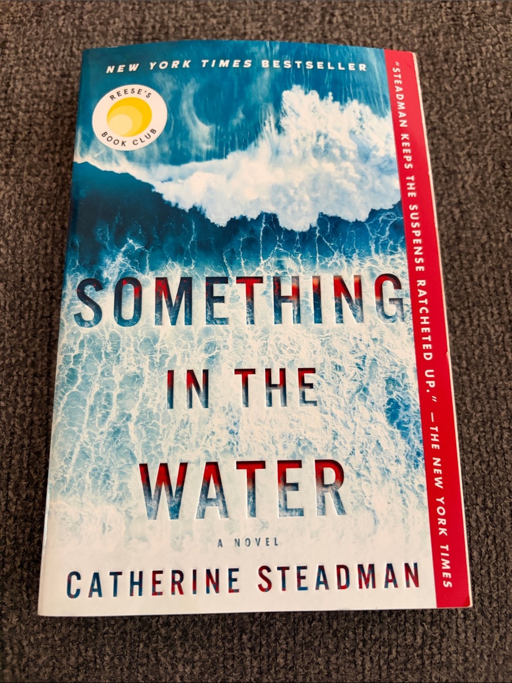 Something in the Water novel
